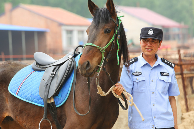 民警每天都悉心照料著愛(ài)馬。