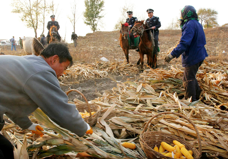 2009年10月，“馬背110”民警在田間巡邏。