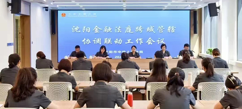 沈陽中院召開沈陽金融法庭跨域管轄協(xié)調聯(lián)動工作會議